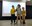 IMG_20250125_170925~2.jpg